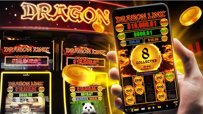 phmacao Bingo Rules Guide