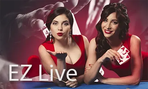Exclusive Bonuses and Promotions